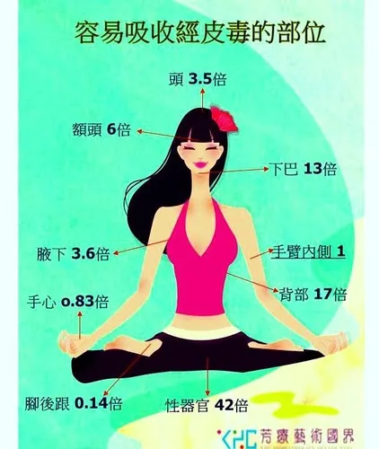 圖片取自YHC芳療藝術國界