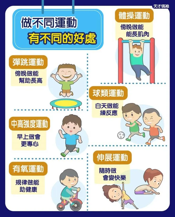 網圖