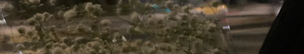 威威想睡好覺的沙龍