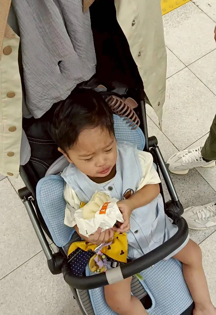 珍豬古怪的表情