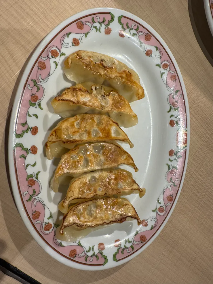 餃子🥟ギョウザ