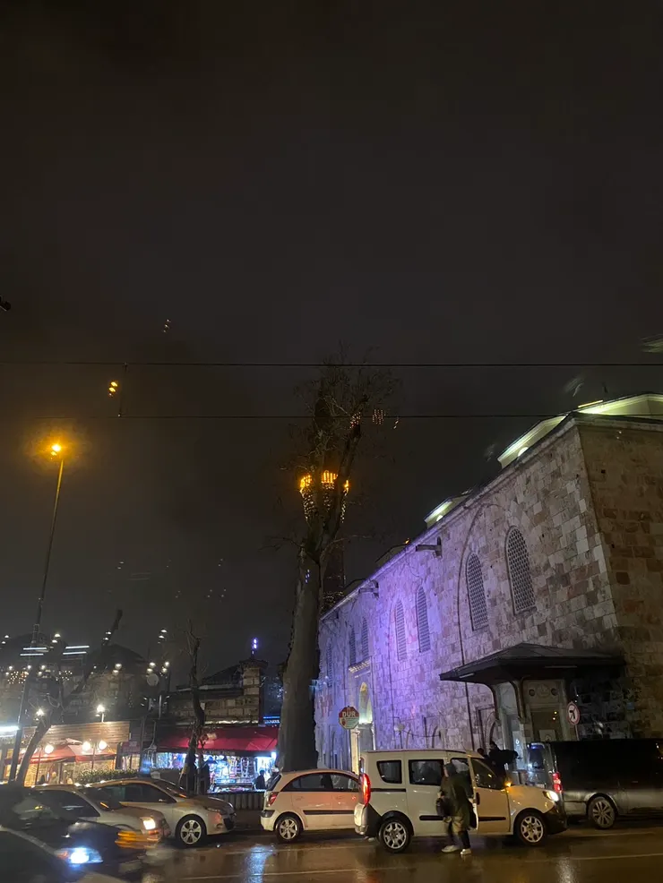 本來只是想拍一下晚上旅館對面的景色,結果竟然意外拍到有人在路中間下車