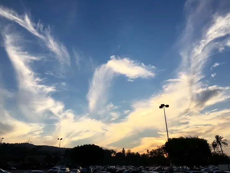 雛鷹展翅(Justine攝於LA)