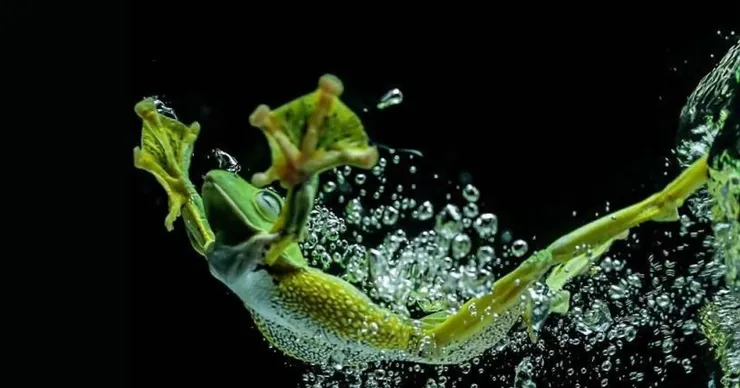 陪蛙媽打了三天麻將,該輸的都很技巧性全輸了,呃,她不止日本,恐怕歐洲旅費都夠了