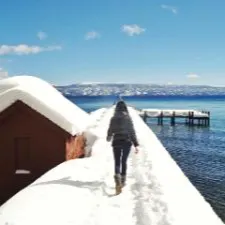 四聲帶小姐的沙龍