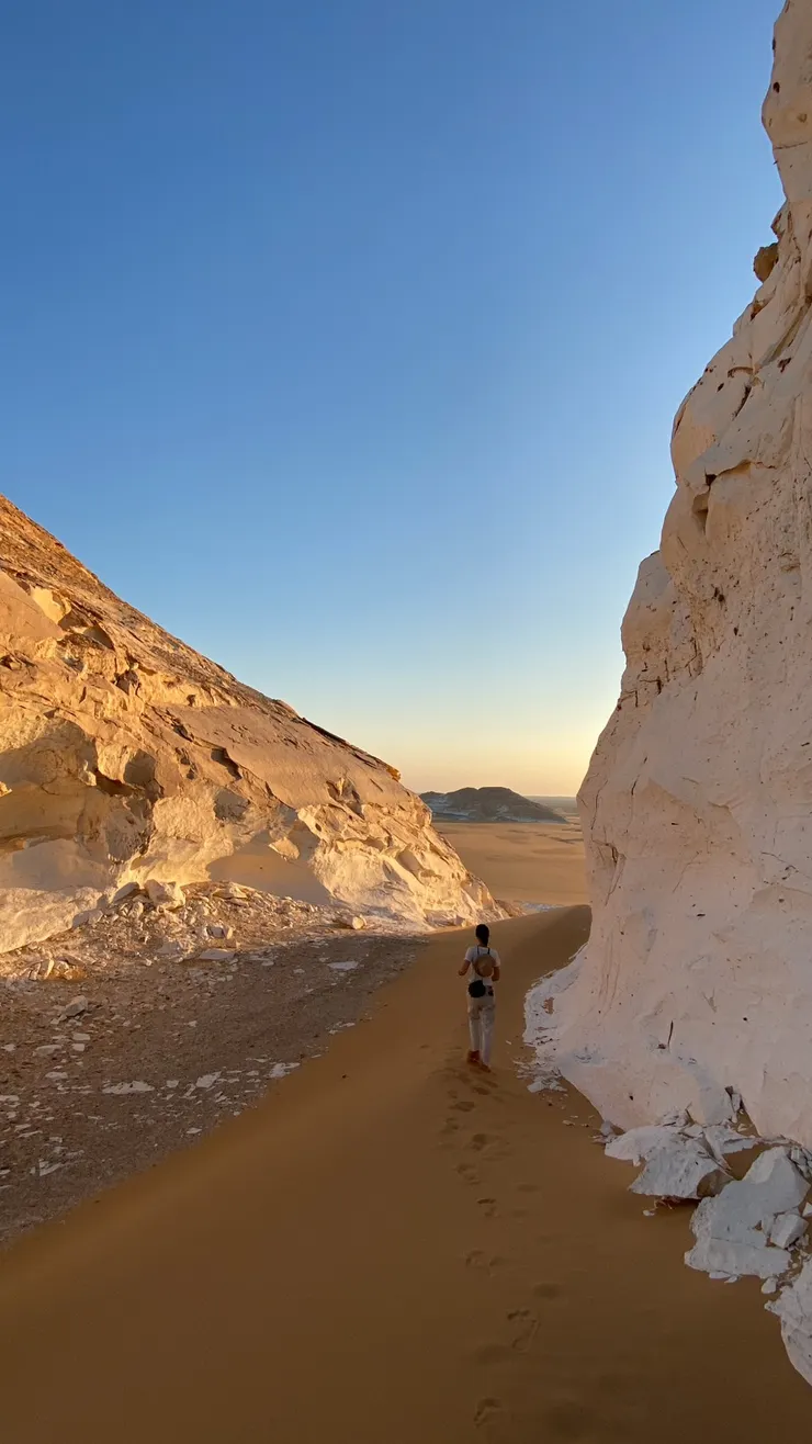 唯一要忙的事，就是到處快活的查看景致
