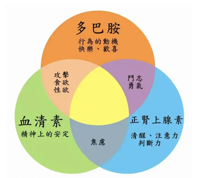 註：重疊是缺乏某素的狀態