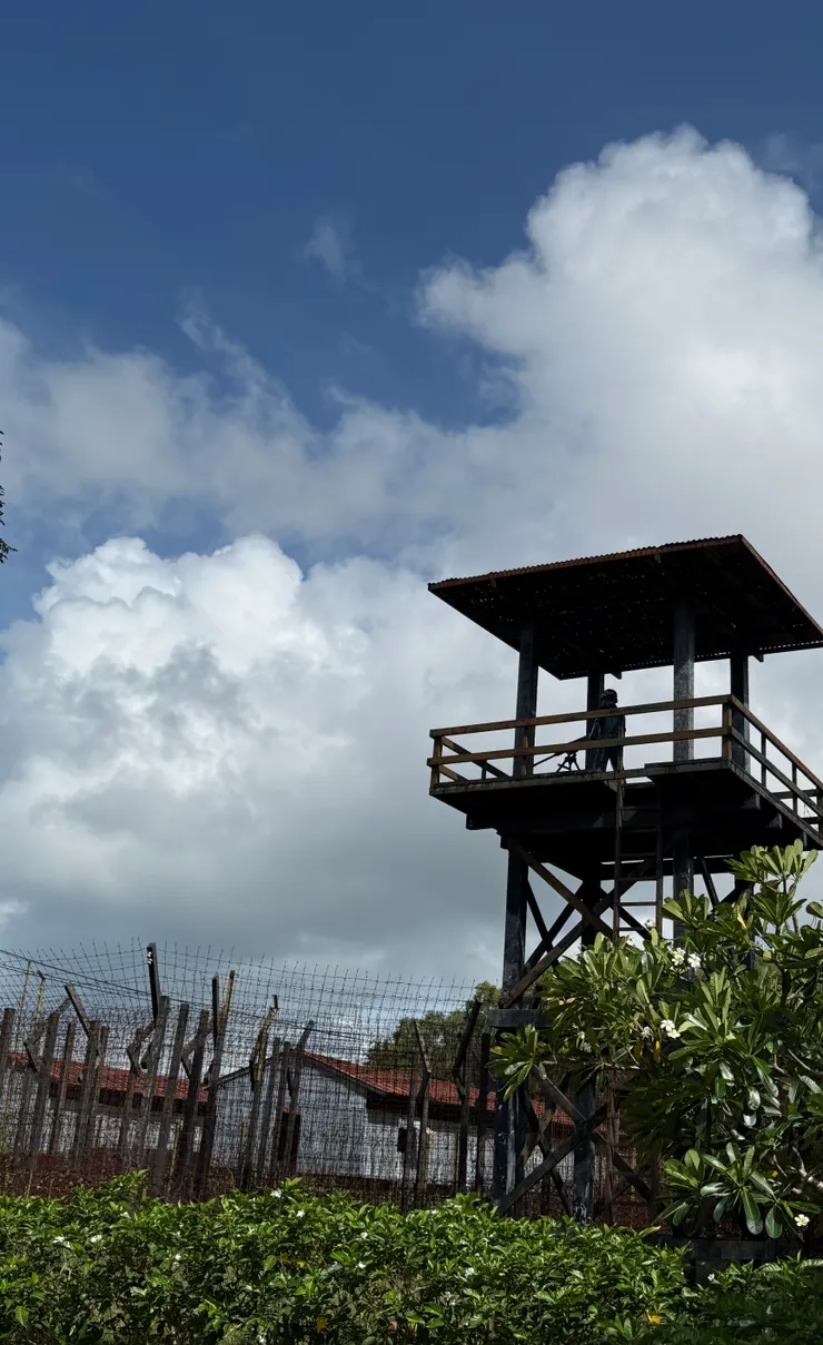 哨口有人從高處監視