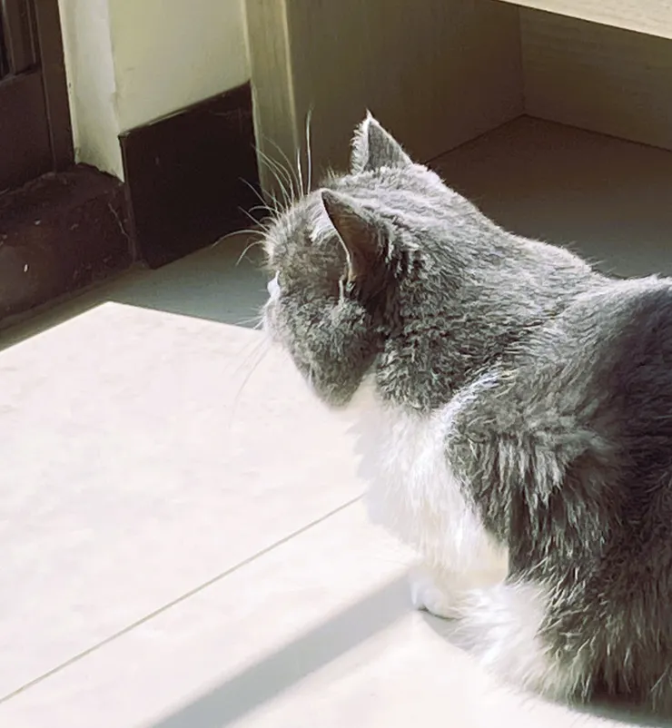 攝於新埔租屋處