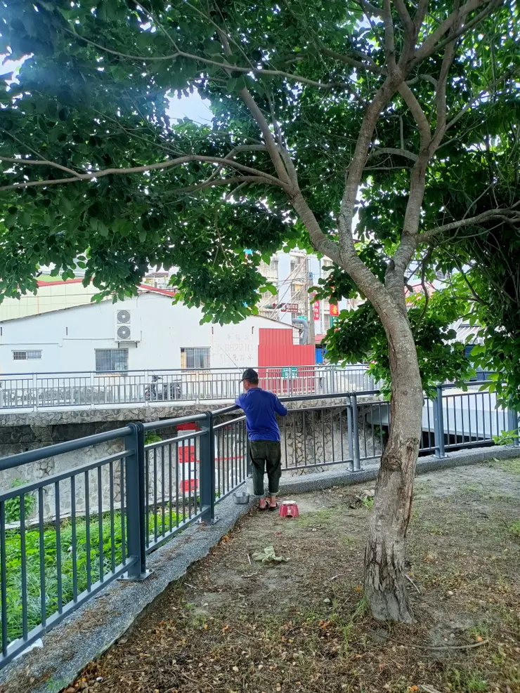 五號大排旁有人在釣魚