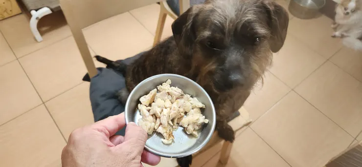 雞里肌肉處理下來的筋可別就這樣子丟了。用煎完洋菇的油再翻妙一下~