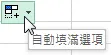 【自動填滿選項】圖示
