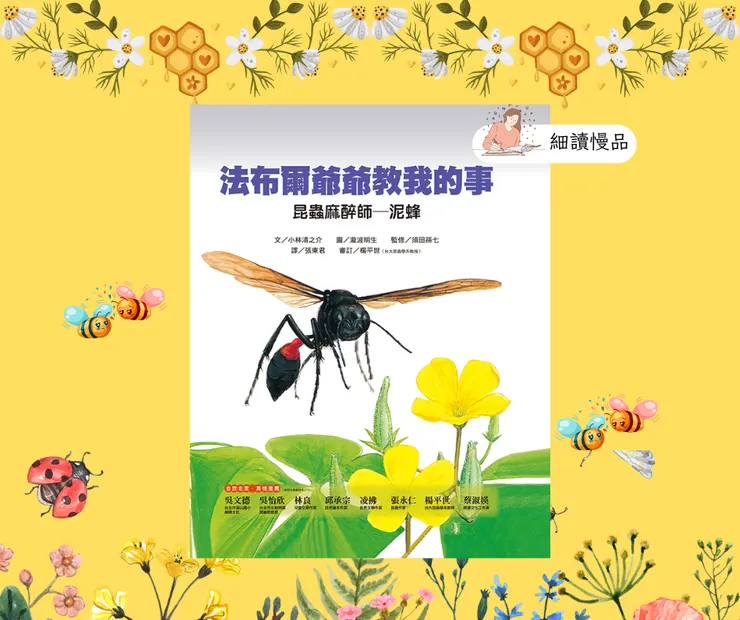 《昆蟲麻醉師：泥蜂》