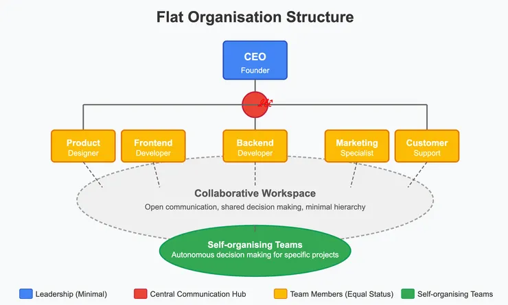 水平/扁平制 (Horizontal/flat)：水平組織結構