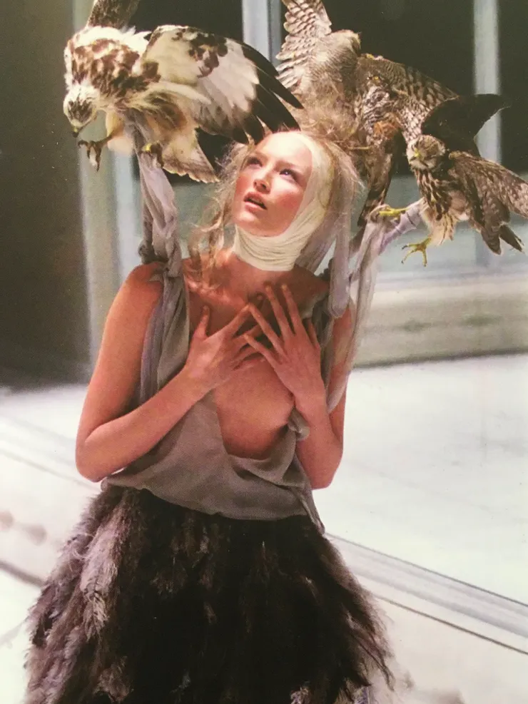 McQueen的作品致敬希區考克的鳥