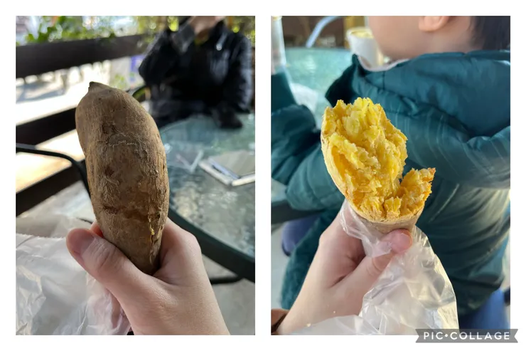 纖維頗粗的地瓜。