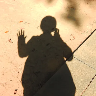 阿菲的春日湧泉