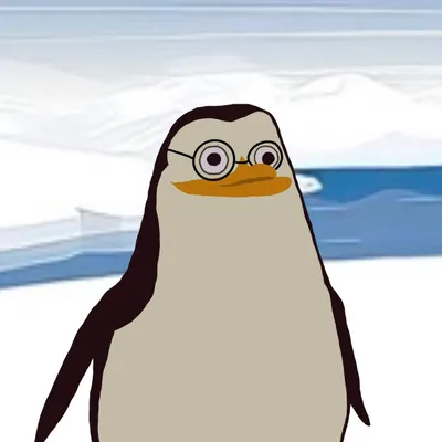 會飛的的企鵝的沙龍