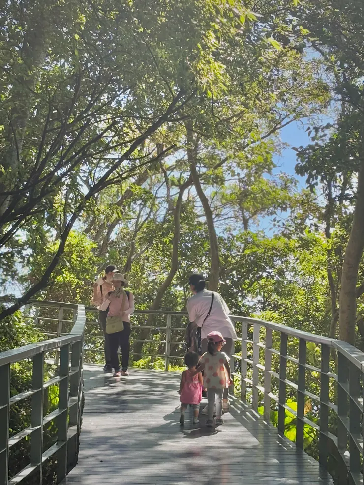 平緩的林梢步道很適合幼兒、年長者、嬰兒車散步