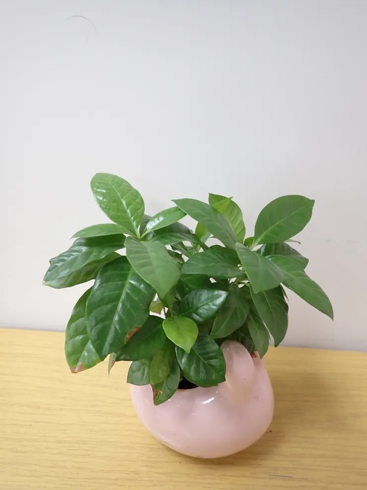 中山社大114.11.20