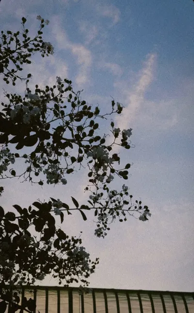 可以穿長袖出門散步了