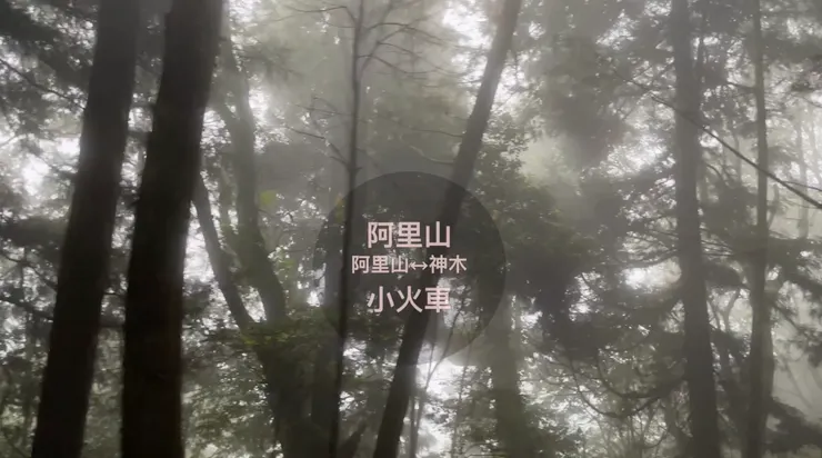 第一次搭小火車