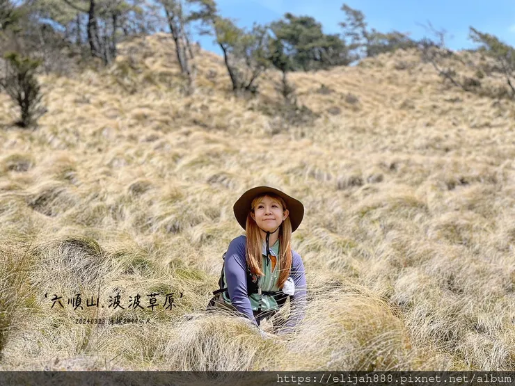 【丹大林道.六順山.七彩湖】六順山.海拔3009公尺/波波草