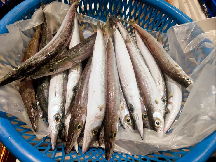 拍攝日期：2020/9/6     地點：夜半基隆魚市競標現場