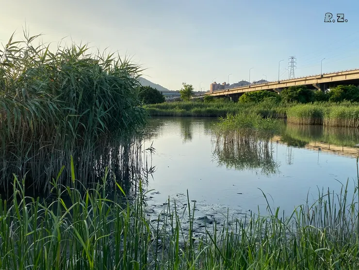 荒野區一景  ([陳傳義]拍攝)