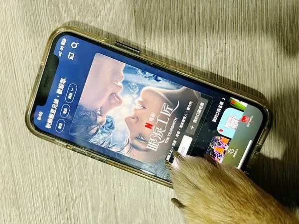 【平台】GoingBus 串流媒體共乘平台｜帳號共享合租，N