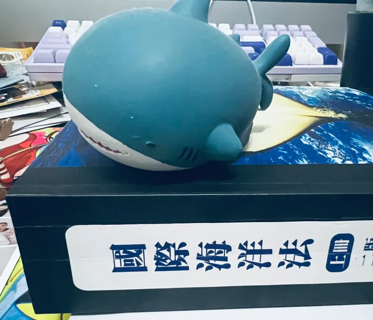 國際海洋法的課本（只有上冊，IKEA鯊鯊是拿來當比例尺用的😆）