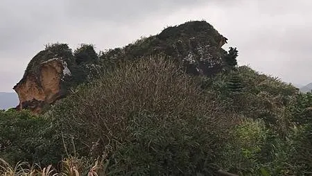 [新北旅遊]世界海岸奇觀之一的野柳地質公園，三十多種海岸海蝕