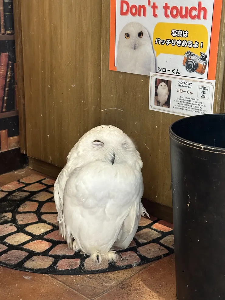 蹲在廁所不給摸的孩紙