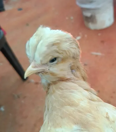 副產物循環場域觀察