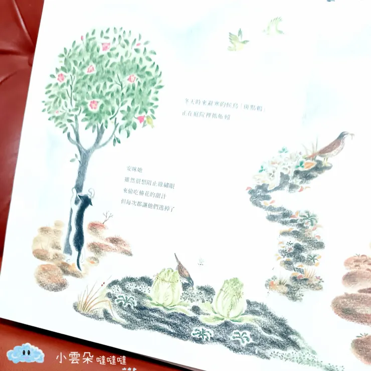 從繪本裡一窺安咪和其它庭院訪客的小日子。