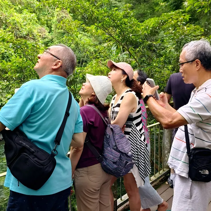 【在四十二份湧泉旁賞鳥中】