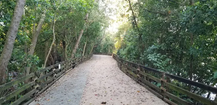 路況十分清晰容易走