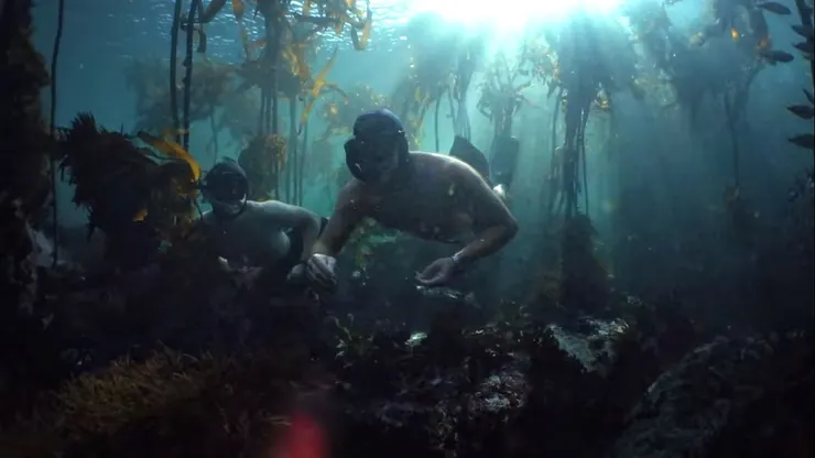 福斯特與兒子共游