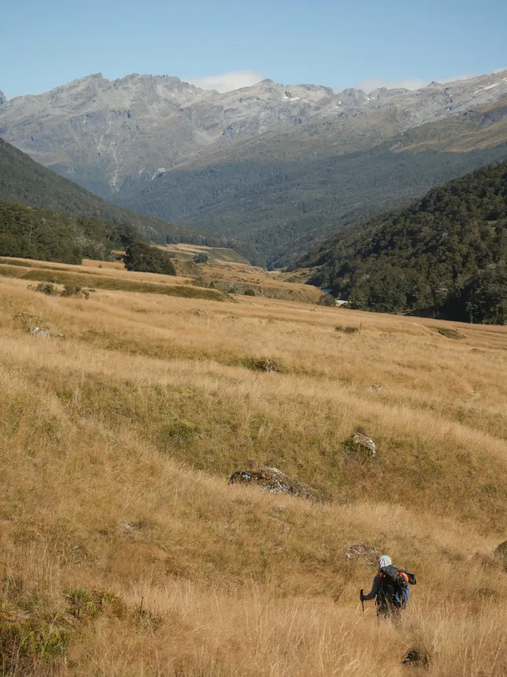 再次走進平坦的草原之中，這日天氣風高氣爽，走起來特別舒服。