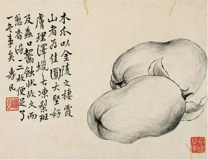 清代揚州八怪之一邊壽民〈木瓜圖〉。題畫詩內容：木瓜，以金陵棲霞山所出產的品質最好，又圓大又堅實完好、表面有臘樣的光澤，沒有斑點與被蟲咬過的傷痕，放越久越香，只要一兩個，就可以好好陪伴過冬。