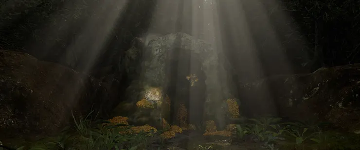 林木枝葉茂密，讓林底顯得昏暗。（圖片來源：https://www.kff.tw/en/film/content/4565）