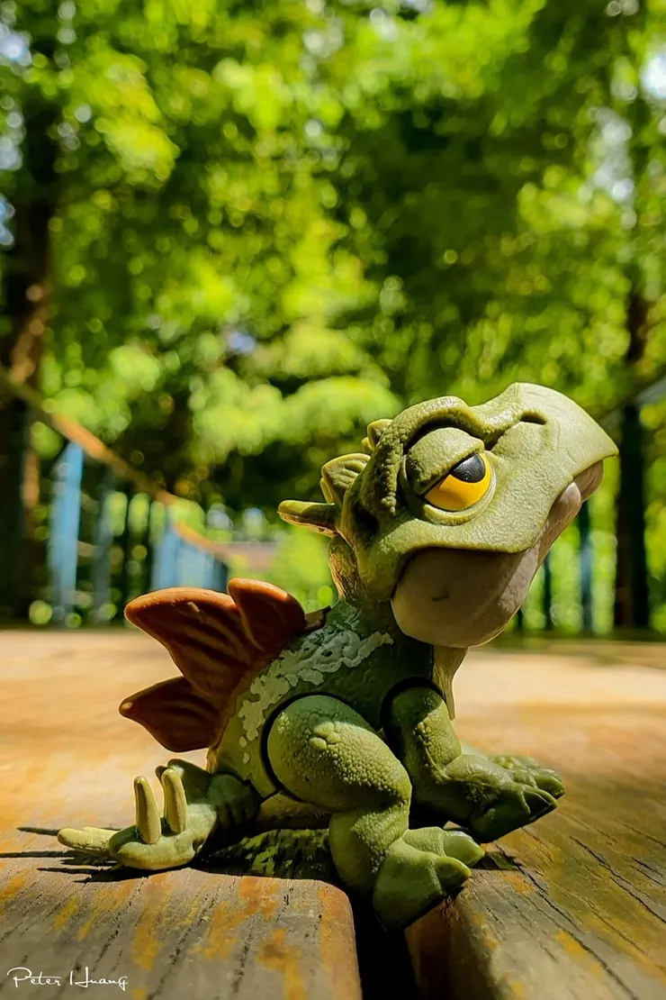 Meta「手機攝影教室」社團黃俊霖先生所攝照片