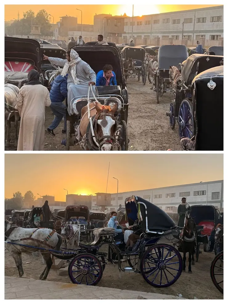 跟著馬車伕穿越車陣上自己的馬車