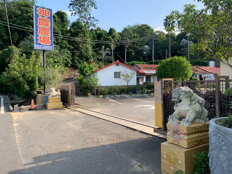 神農渡假農場從路旁經過,會以為只是一般人家,疏不知裡面佔地遼闊,有各式各樣的設施