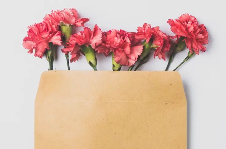 康乃馨是母親的代表花