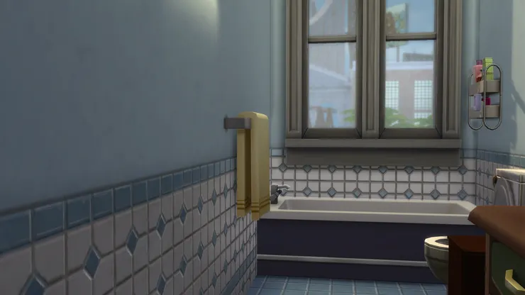 我是不是該在這裏安裝窗簾？但洗澡會弄濕。