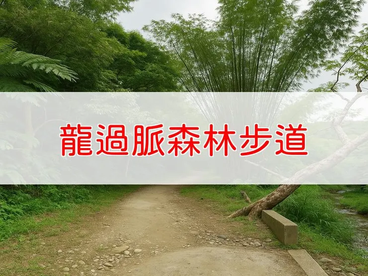 【雲林】龍過脈森林步道 | 全長里程：4.16公里 | 難易度：低