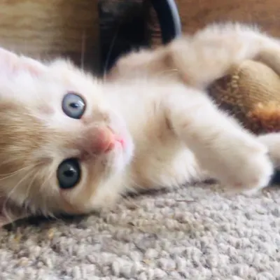 日常小事都在Threads放送