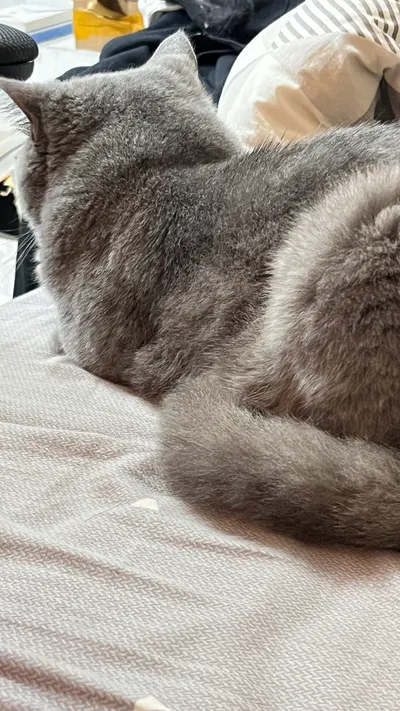 我家寶貝真可愛