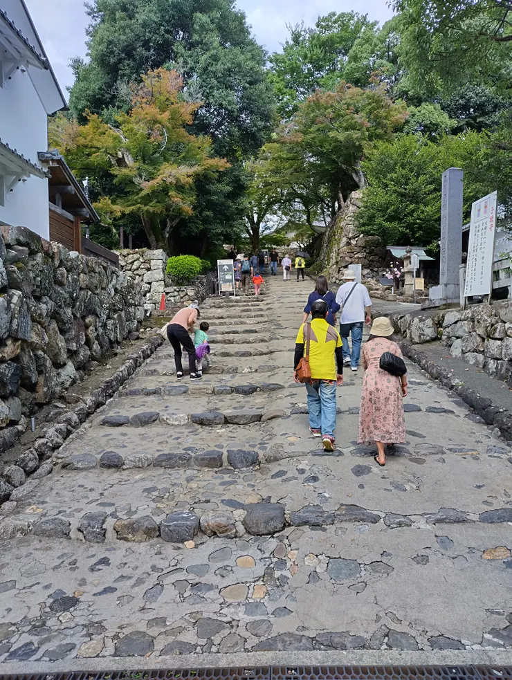 努力往上爬的斜坡